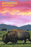 Winnipeg, Manitoba - Painterly - Bison & Sunset