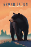 Grand Teton National Park, Wyoming - Lithograph - Black Bear