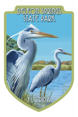 Deleon Springs State Park, Florida - Blue Heron - Contour