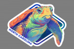North Carolina - Vivid - Sea Turtle - Contour