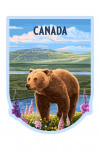 Canada - Painterly - Grizzly Bear in Meadow - Contour