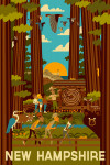 New Hampshire - Geometric - Forest