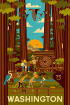Washington - Geometric - Forest