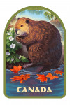 Canada - Lithograph - Beaver - Contour