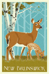 New Brunswick - Letterpress - Deer & Fawn