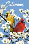 Columbus, Ohio - Cardinals in Dogwood Tree