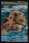 Sonoma Coast, California - Mosaic - Otter
