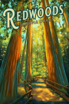 Sonoma Coast, California - Redwoods - Avenue of the Giants - Oil Painting