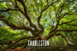 Charleston, South Carolina - Photography - Angel Oak Tree