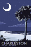 Charleston, South Carolina - Palmetto Moon