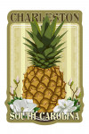 Charleston, South Carolina - Colonial Pineapple - Contour