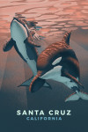 Santa Cruz, California - Orca - Lithograph