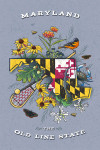 Maryland - State Treasure Trove