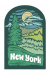 New York - Chalk Art - Evergreen Treescape - Contour