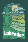 Labrador - Chalk Art - Evergreen Treescape