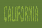 California - Outdoor Typography - Woodgrain Type