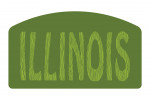 Illinois - Outdoor Typography - Woodgrain Type - Contour