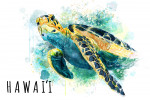 Hawai'i  - Watercolor - Sea Turtle