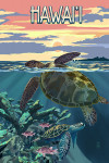 Hawai'i  - Sea Turtle Swimming