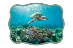 Hawai'i - Photography - Sea Turtle & Coral Reef - Contour
