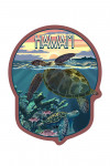Hawai'i - Sea Turtle Swimming - Contour