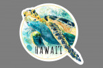 Hawai'i - Watercolor - Sea Turtle - Contour