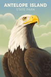 Antelope Island State Park, Utah - Lithograph Wildlife Series - Bald Eagle