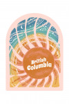 British Columbia - Chalk Art - Sunburst - Contour