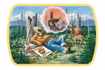 Smokey Bear - Dream of a Well-Remembered Forest Fire - Contour