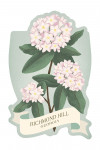 Richmond Hill, Georgia - Vintage Flora - Mayflower - Contour