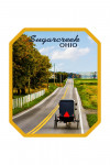 Sugarcreek, Ohio - Photography - Amish Buggy on Country Road - Contour