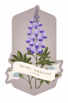 Bend, Oregon - Vintage Flora - Lupine - Contour