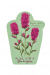 Kalama, Washington - Vntage Flora - Magenta Indian Paintbrush - Contour