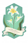 Kalama, Washington - Vintage Flora - Avalanche Lily - Contour