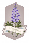 Kalama, Washington - Vintage Flora - Lupine - Contour