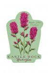 Castle Rock, Washington - Vintage Flora - Magenta Indian Paintbrush - Contour