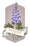 Castle Rock, Washington - Vintage Flora - Lupine - Contour