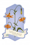 Castle Rock, Washington - Vintage Flora - Tiger Lily - Contour