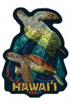 Hawaiʻi - Mosaic - Sea Turtle - Contour