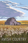 Amish Country - Painterly - Wheat Field & Barn