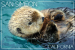 San Simeon, California - Photography - Sea Otter
