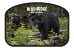 Blue Ridge, Georgia - Photography - Black Bear - Contour