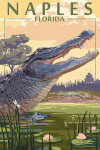 Naples, Florida - Painterly - Alligator Scene