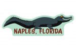 Naples, Florida - Alligator - Geometric - Contour