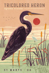 St Marys, Georgia - Shorebirds at Sunset - Tricolored Heron