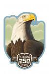 USA 250th Anniversary - Lithograph Wildlife Series - Bald Eagle - Contour