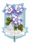 Glenwood Springs, Colorado - Vintage Flora - State Series - Rocky Mountain Columbine - Contour