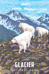 Glacier National Park, Montana - Goat Family