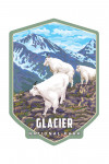 Glacier National Park, Montana - Goat Family - Contour