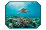 Jekyll Island, Georgia - Photography - Sea Turtle & Coral Reef - Contour